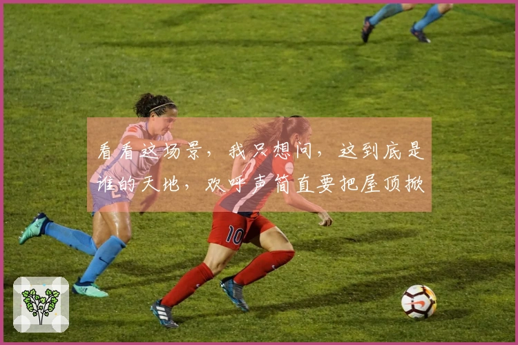 看看这场景，我只想问，这到底是谁的天地，欢呼声简直要把屋顶掀翻。